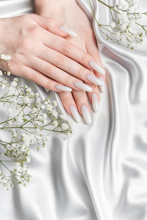 Beauty treatment, nice manicured woman fingernails. Feminine nail art with nice white nail polish and gypsophila flowersの写真素材