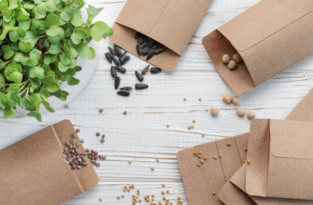 Gardening concept, planting at home.  Set of gardening tools and supplies for sowing seedsの写真素材