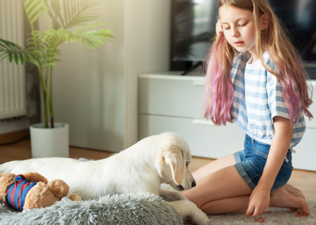 Little girl playing with a golden retriever puppy at home. Friends at home.の写真素材