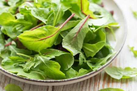 Mix salad leaves. Healthy food. Green meal.の写真素材