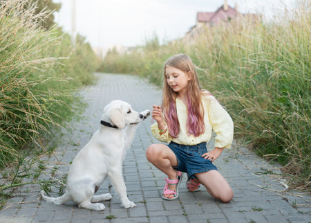 Puppy labrador retriever and little girl. Little girl playing with golden retrieverの写真素材