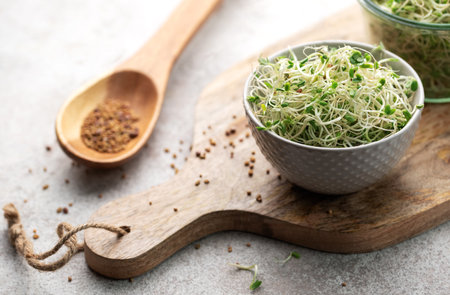 Microgreens grown in a jar.  Healthy Eatingの写真素材