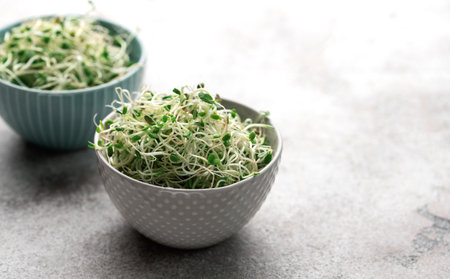 Microgreens grown in a jar.  Healthy Eatingの写真素材