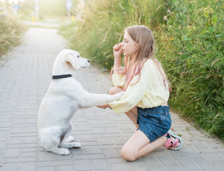 Puppy labrador retriever and little girl. Little girl playing with golden retriever