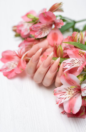 Elegant pastel pink natural manicure. Female hands  with flowers alstroemeria  on white wooden background.の写真素材