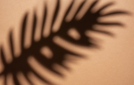 Shadows from palm leaves on a light brown background.の写真素材