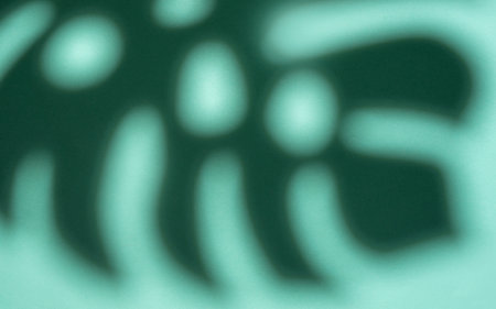 Shadows from monstera leaves on a light green background.