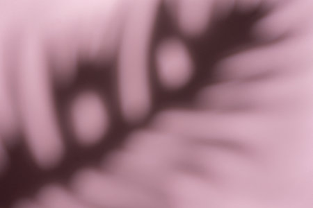 This image captures a dreamy, abstract pattern formed by the blurred movement of palm fronds in a gentle, diffused light.の写真素材