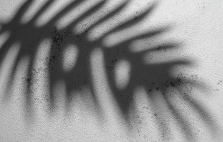 This image captures the silhouetted shadow of a fern leaf projected on a bumpy white surface, showcasing the interplay of light and texture.の写真素材