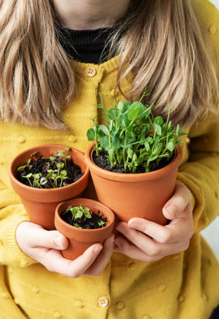 A close view of a little girl holding  three terracotta pots with young green plantsの写真素材