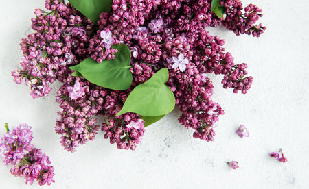 Spring flowers. Lilac flowers  background. Top view, flat lay, copy space