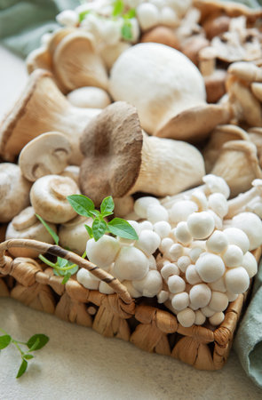 Assortment of various raw mushrooms on gray concrete backgroundの写真素材