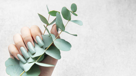 A hand with stylish gray-green nails holds a sprig of eucalyptus, highlighting a blend of natural beauty and modern nail design against a subtle backdrop.の写真素材