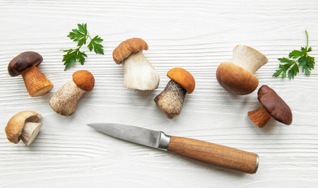 A variety of freshly gathered mushrooms are displayed on a light wooden surface alongside a knife and sprigs of green parsley, perfect for culinary use.の写真素材