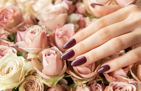 A graceful hand adorned with maroon nails is placed delicately among a variety of pink and cream roses, creating an elegant floral display.の写真素材