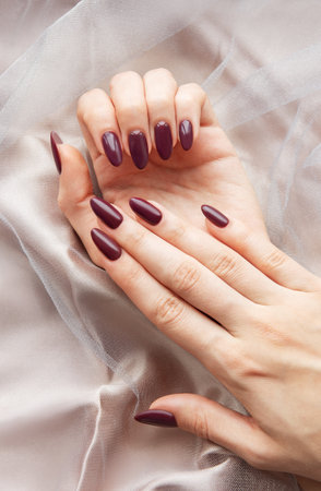 A pair of hands adorned with polished deep burgundy nails delicately rests on a flowing, sheer fabric. The soft colors create a tranquil atmosphere enhancing the beauty of the nails.の写真素材