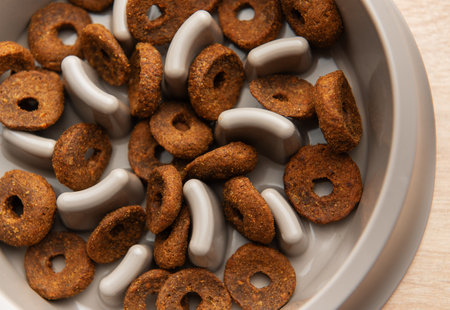 Dry dog food sitting in a slow feeder bowl which helps prevent gulping and improves digestion
