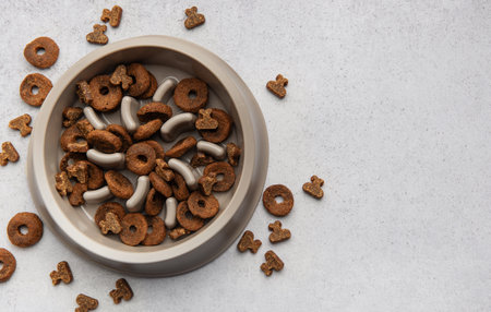 Dry brown kibble in a slow feeder bowl on a gray background, preventing dogs from gulping and...