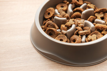 Slow feeder dog bowl preventing gulping and improving digestion