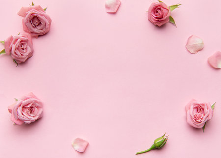 Pink roses and petals creating a frame on a pink background, ideal for romantic or feminine themesの写真素材