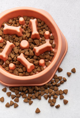 Dry dog food in a slow feeder bowl promoting healthy eating habitsの写真素材