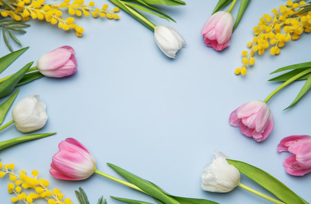 Pink and white tulips and mimosa branches create a decorative frame on a light blue background, perfect for spring celebrationsの写真素材