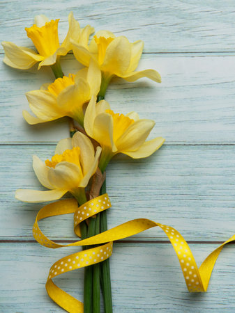 Bouquet of yellow daffodils tied with a yellow ribbon lying on a blue wooden backgroundの写真素材