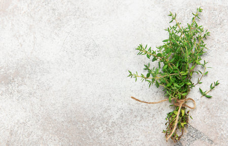 Bunch of thyme tied with twine on a textured backgroundの写真素材