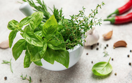 Fresh basil, thyme, and rosemary in a white ceramic mortar with pestle, garlic cloves, peppercorns, and chili peppers on a gray backgroundの写真素材