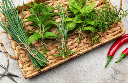 Bunches of fresh herbs like chives, mint, rosemary, basil, and thyme sit on a wicker tray, accompanied by red chili peppersの写真素材