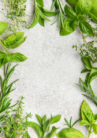 Sprigs of basil, mint, rosemary, and thyme forming a border on a gray background, leaving an open area for text or other design elementsの写真素材