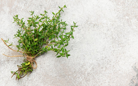 Fresh thyme bunch tied with twine resting on a gray background, ready for culinary or medicinal useの写真素材