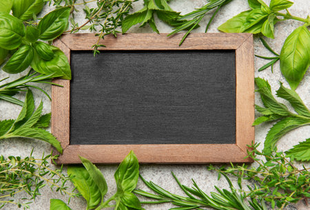 Aromatic culinary herbs surrounding blank chalkboard create inviting space for text or design, celebrating natural food and healthy lifestyleの写真素材