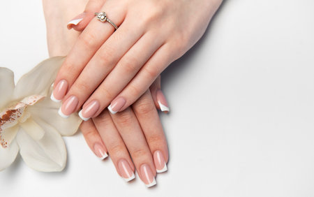 Female hands with perfect french manicure and white orchid flower are lying on white backgroundの写真素材