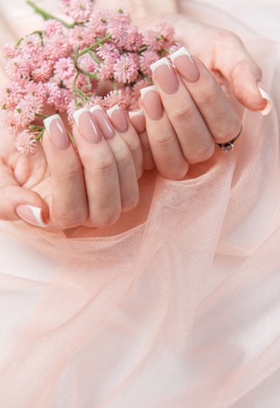 Woman's hands with perfect french manicure are holding pink flowers on pink tulle backgroundの写真素材