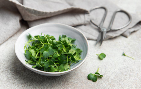 Fresh radish microgreens in a bowl, promoting healthy eating and urban farming