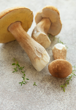 Freshly picked penny bun mushrooms - boletus edulis - with thyme sprigs, creating a rustic culinary sceneの写真素材