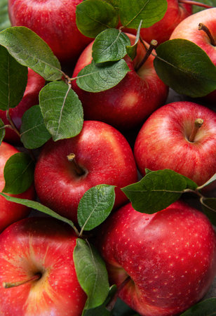 Ripe red apples with green leaves create a vibrant and inviting display, perfect for showcasing...