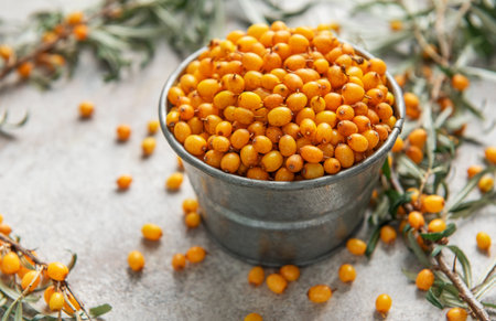 Ripe sea buckthorn berries spilling from a small metal bucket onto a textured surface, with sprigs...