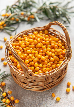 Ripe sea buckthorn berries spilling from a wicker basket, showcasing the abundance of this nutritious fruitの写真素材