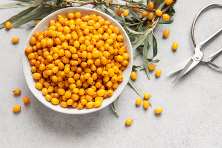 Fresh sea buckthorn berries filling a bowl, with leaves and vintage scissors on a gray background