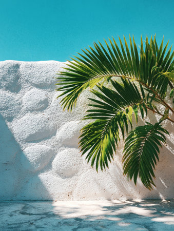 Palm frond creating a graphic shadow on a rough white wall under a bright blue skyの素材