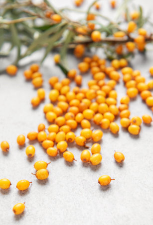 Ripe sea buckthorn berries and green leaves showcasing healthy food and natural vitamins