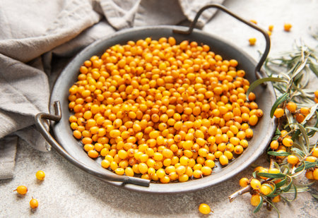 Sea buckthorn berries filling an old metal bowl, beside green branches, on a concrete background