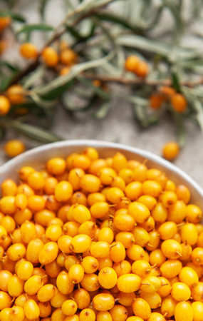 Bowl filled with fresh organic sea buckthorn berries, with green branches in backgroundの写真素材