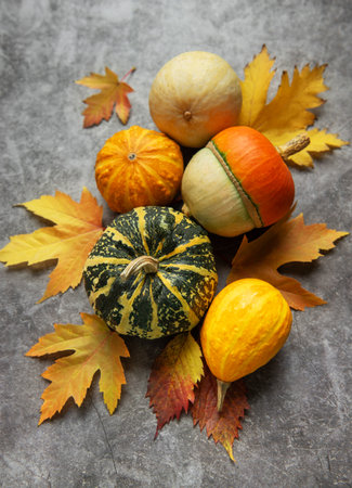 Autumn composition of colorful gourds, pumpkins, and fall leaves on a rustic stone surfaceの写真素材