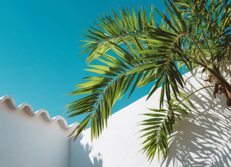 Palm fronds against a vibrant blue sky creating tropical shadows on a textured white wallの素材
