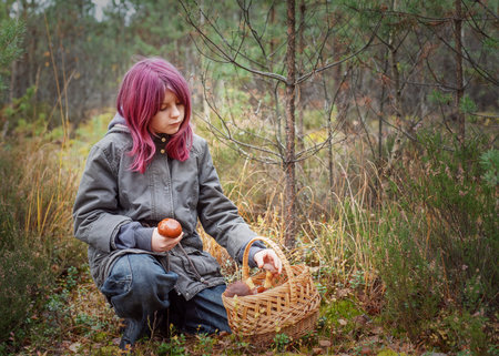 Young girl with purple hair picking wild edible mushrooms into a wicker basket in the forestの写真素材