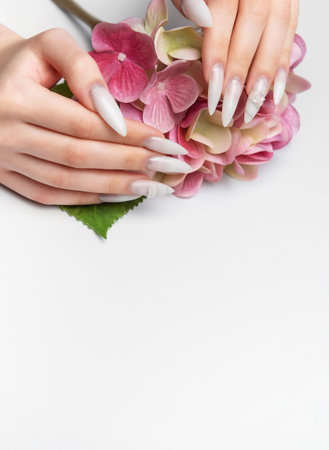 Woman's manicured hands holding a beautiful pink hydrangea flower, showcasing nail artの写真素材