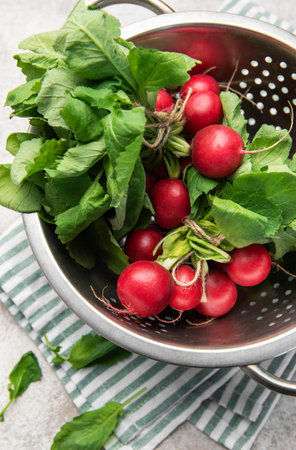 Fresh radishes with vibrant green leaves are in a stainless steel colanderの写真素材